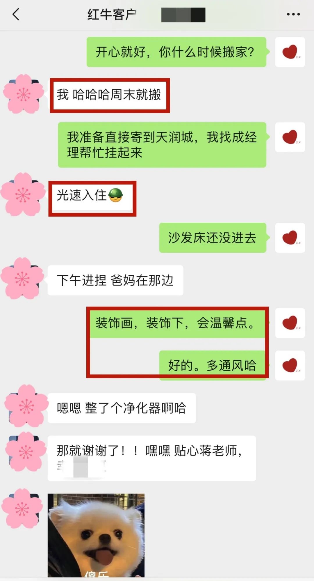 喜報｜金秋十月，收獲滿滿，紅牛裝飾再獲三面錦旗！